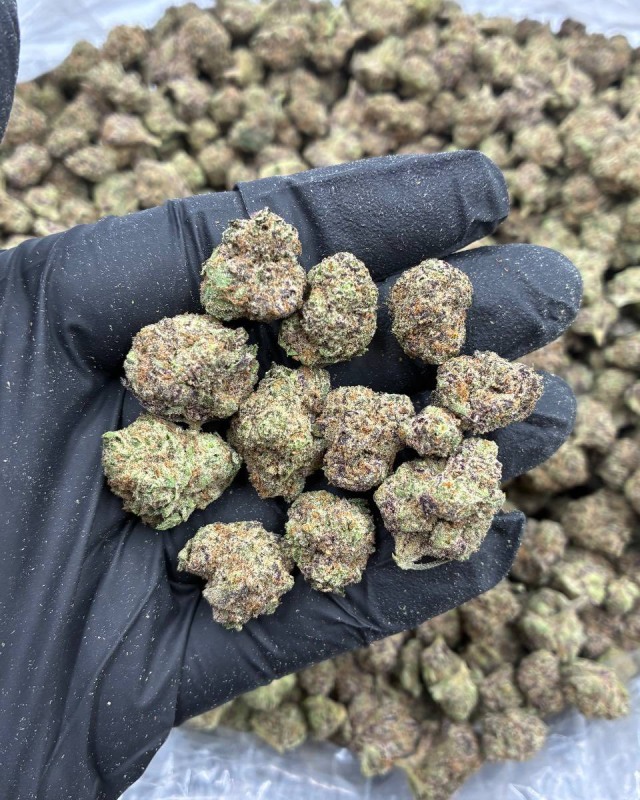 PURPLE POP ROX SM 🍾 